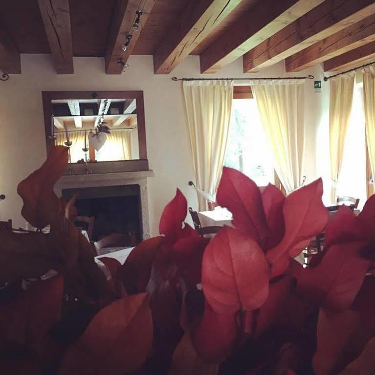 Hotel Villa Dei Carpini Одерцо Екстер'єр фото